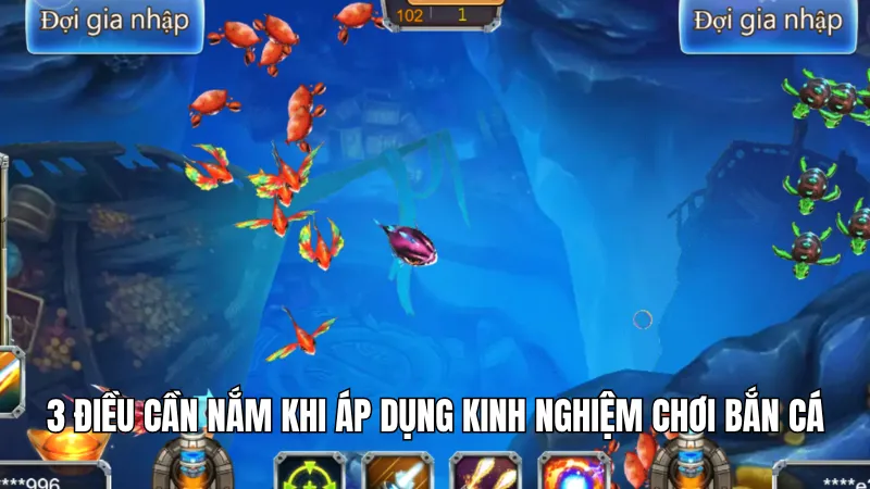 3 Kinh Nghiệm Chơi Bắn Cá Hiệu Quả Tại Nền Tảng KG88 3 3 điều cần nắm khi áp dụng kinh nghiệm chơi bắn cá