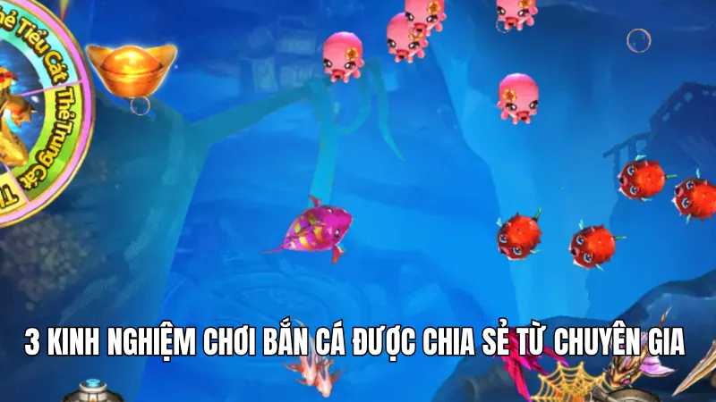 3 Kinh Nghiệm Chơi Bắn Cá Hiệu Quả Tại Nền Tảng KG88 2 3 kinh nghiệm chơi bắn cá được chia sẻ từ chuyên gia