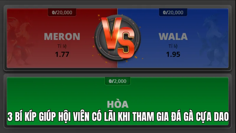 Đá Gà Cựa Dao KG88 - Bộ Môn Đối Kháng Hấp Dẫn Nhất 2026 3 3 bí kíp giúp hội viên có lãi khi tham gia đá gà cựa dao