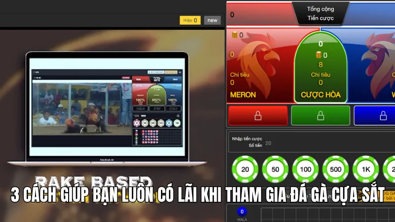 3 Kinh Nghiệm Chơi Đá Gà Cựa Sắt Bất Bại Từ Cao Thủ KG88 3 3 cách giúp bạn luôn có lãi khi tham gia đá gà cựa sắt