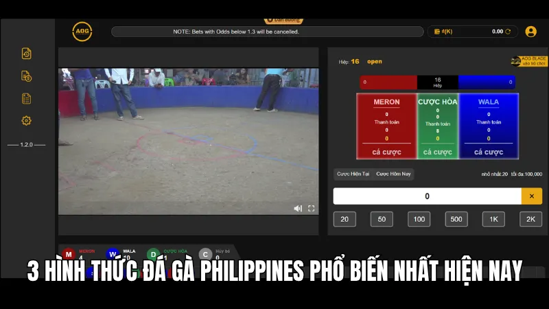 Bật Mí 3 Cách Thắng Đậm Khi Tham Gia Đá Gà Philippines Tại KG88 2 3 hình thức đá gà Philippines phổ biến nhất hiện nay