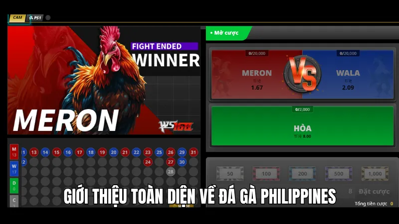 Bật Mí 3 Cách Thắng Đậm Khi Tham Gia Đá Gà Philippines Tại KG88 1 Giới thiệu toàn diện về đá gà Philippines