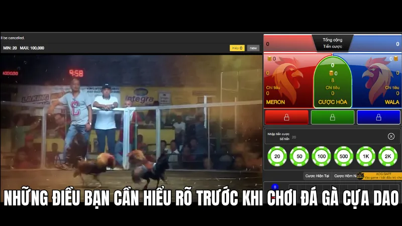 Đá Gà Cựa Dao KG88 - Bộ Môn Đối Kháng Hấp Dẫn Nhất 2026 2 Những điều bạn cần hiểu rõ trước khi chơi đá gà cựa dao