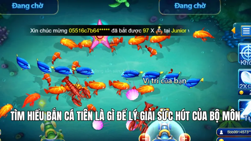 Bắn Cá Tiên Là Gì? 3 Lý Do Nên Tham Gia Tại Trang Cược KG88 2 Tìm hiểu bắn cá tiên là gì để lý giải sức hút của bộ môn